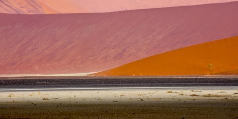 Stretched Canvas Print: Desert landscape, Namibia, Africa by Art Wolfe Wolfe: 24x12in