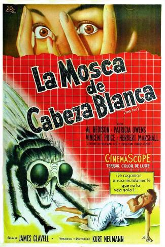 Poster: The Fly, Argentine Movie Poster, 1958, 36x24in.