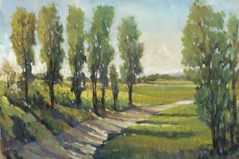 Art Print: Lush Landscape I by Tim O'toole: 18x12in