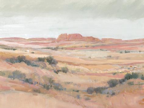 Art Print: Southwest Landscape II by Tim O'toole: 12x9in