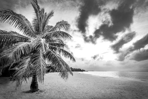 Art Print: Dramatic landscape of paradise tropical island beach with perfect sunny sky, artistic black and whi: 18x12in
