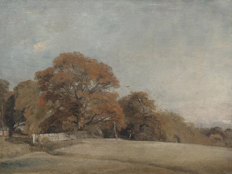 Art Print: An Autumnal Landscape at East Bergholt by John Constable: 18x24in