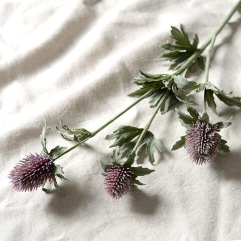 Home Accessories Thistle Spray – The Cotswold Company