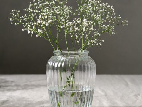 Home Accessories Corvus Vase H20cm – Transparent – The Cotswold Company