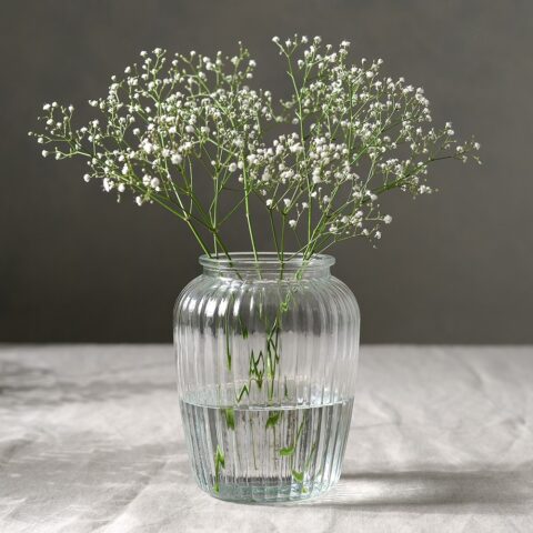 Home Accessories Corvus Vase H20cm – Transparent – The Cotswold Company