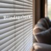 blinds
