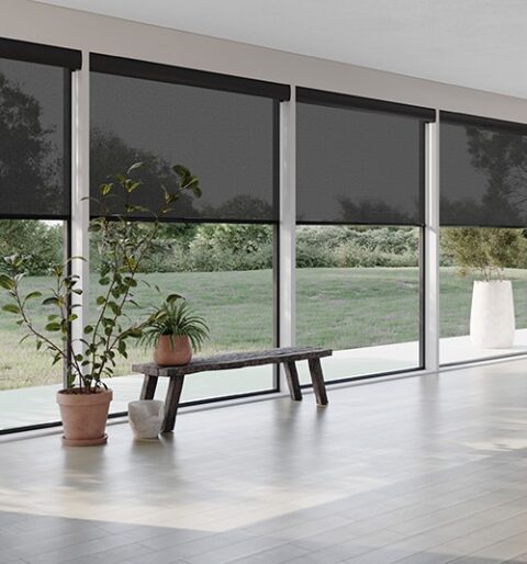 Blindsgalore® Envision Solar Shades