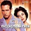 Art Print: Cat on a Hot Tin Roof, Greek Movie Poster, 1958, 18x12in.